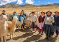 Heladas: Agro Rural trabaja en la protección de más de 376,000 cabezas de ganado en Junín, Tacna y Ayacucho