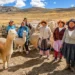 Heladas: Agro Rural trabaja en la protección de más de 376,000 cabezas de ganado en Junín, Tacna y Ayacucho